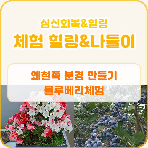 체험 힐링&나들이 프로그램(06.20)