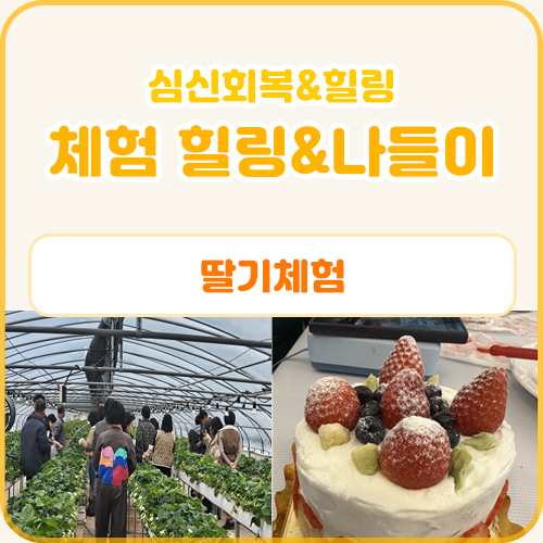 체험 힐링&나들이 프로그램(딸기 체험) (3.4)