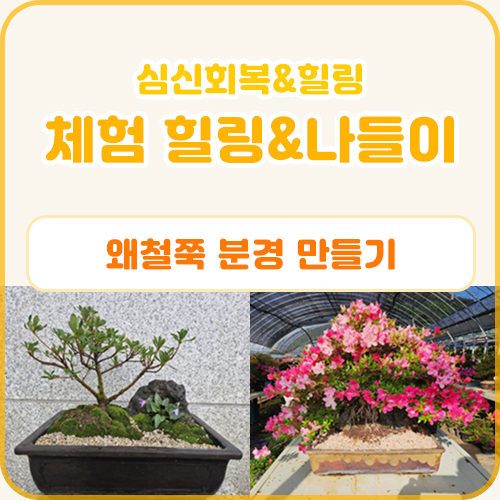 체험 힐링&나들이 프로그램(왜철쭉 분경 만들기) (6.11)